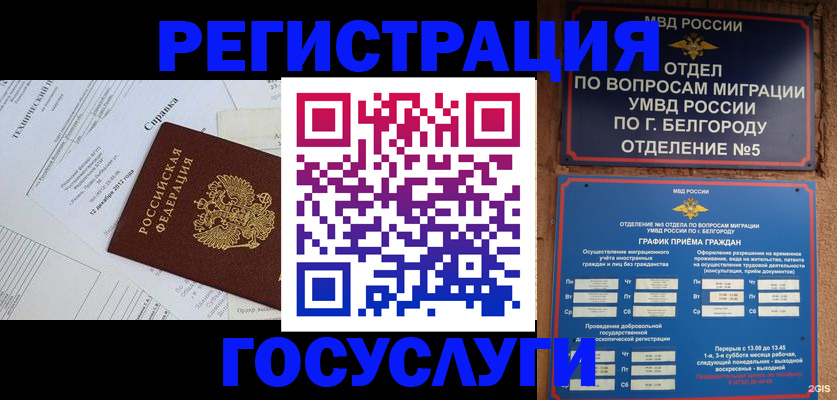 временная прописка в Борзе